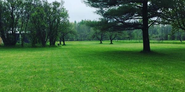 Landscaping Experience