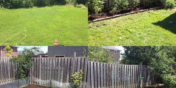 Our Service Commitment