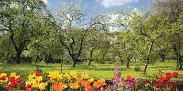 Landscaper Service Simcoe County